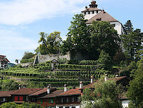 Burg und Bäume in der Schweiz